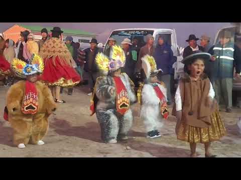 Entrada / Copani / La Paz / Bolivia
