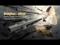 【Madoka Magica】 Kalafina - Mirai / 未来 (clarinet ...