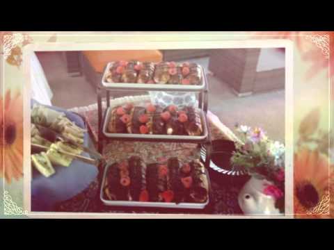 Tea on The Terrace- Amelia Returns from Her Studies in Engla