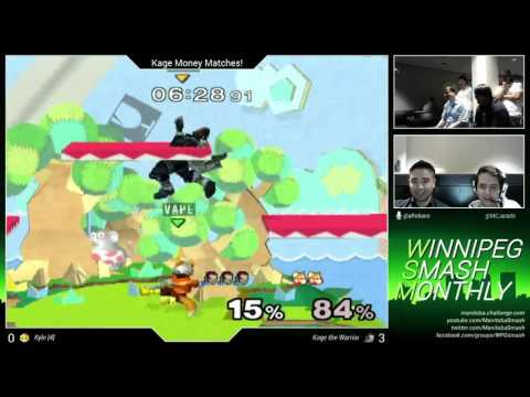 WSM17 Kage the Warrior (Ganondorf) vs. Hans (Fox) - Money Match