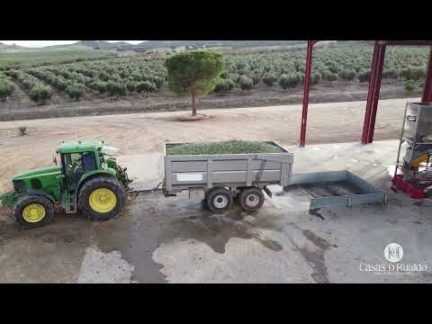 Producción de aceite - Casas de Hualdo Cornicabra 500 ml