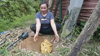 Single woman finds abandoned house in deep forest, secret treasure under the abandoned house
