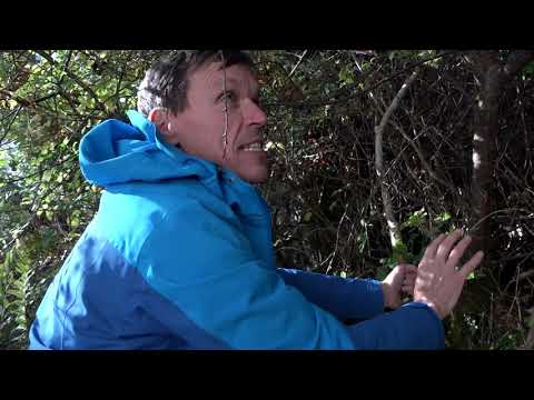 Aughinish Island in Co. Fermanagh, Northern Ireland