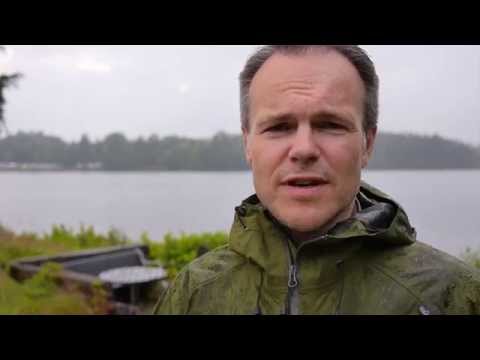 Blir det bättre väder i augusti?