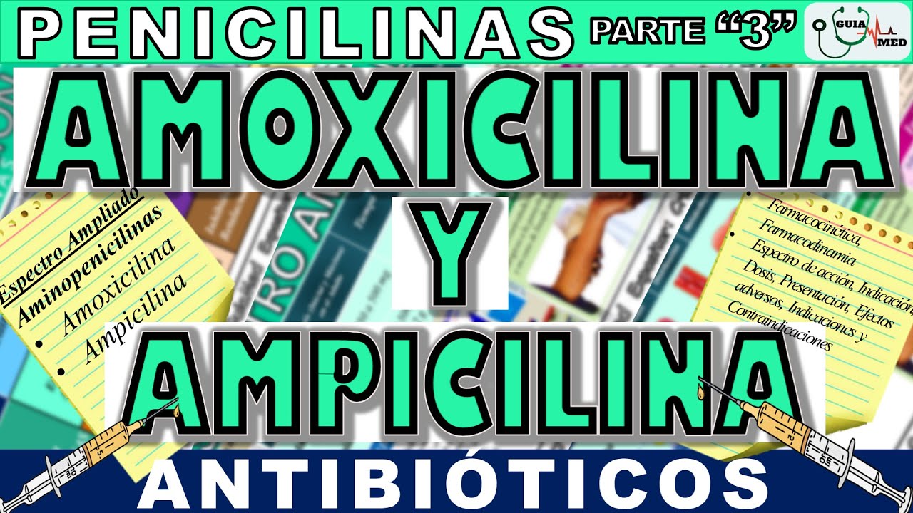 AMOXICILINA PARA QUE SIRVE ESTE MEDICAMENTO (AMOXICILINA Y AMPICILINA) | GuiaMed
