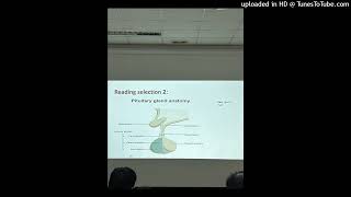 CHAPTER 7 - The Endocrine System - PART 2
