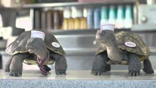 Comcast Business Internet TV Commercial, Slowskys Diner   iSpot tv appleuniversal