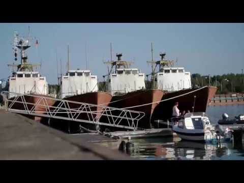 Kormorane: Fischdieb oder Sündenbock?