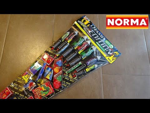 NICO CHAMP EDITION | Familiensortiment | 14,99€ Norma