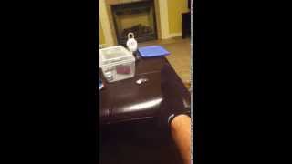 Secrets-The Sing Off