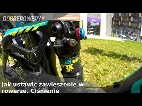 Mięsień bródkowo-gnykowy Jak pompować mięśnie skośne brzucha dziewczyna w domu