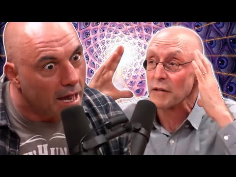 "I Was There, Before The Big Bang" - Michael Pollan's CRAZY 5-MeO-DMT Story