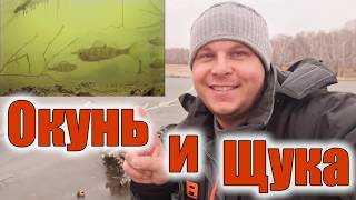 Диалоги о рыбалке рыбалка на камере