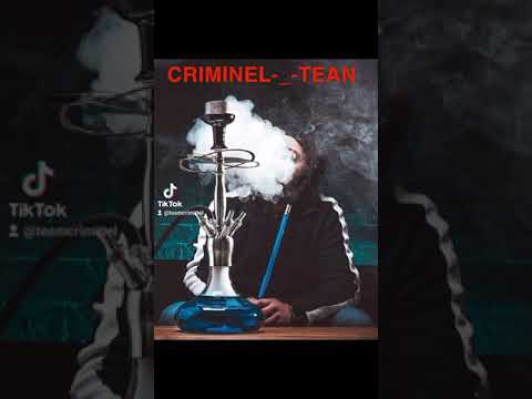 team CRIMINEL