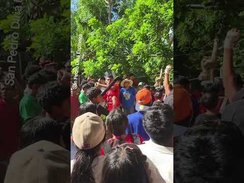 Diria, Granada Culmina sus Fiestas Patronales de SAN PEDRO APOSTOL - 2026