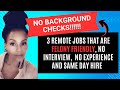 3 Felony Friendly Remote Jobs Anyone Can Get - No Background Checks Needed! 🚀