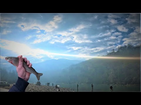 Pecanje na Drini početkom januara 2023. Najlepša i najteža reka za pecanje u Srbiji | Drina fishing