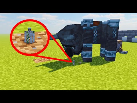 Can 1px Iron Golem kill the Ravager?