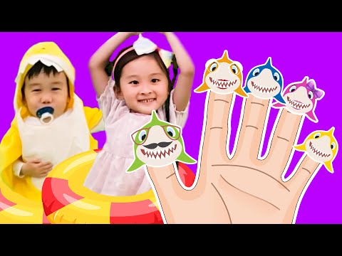 Baby Shark Finger Family with Sister & Brother Shark Edition!  | DoReMi Kids Songs