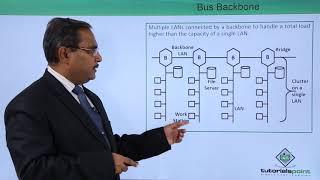 Backbone Networks