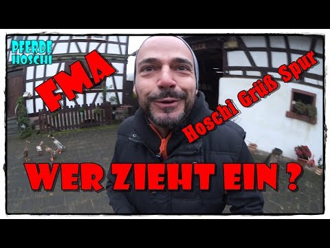 Welche Tiere ziehen ein ??? | Pferde Hoschi