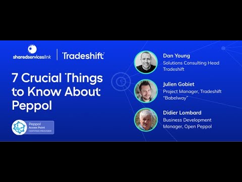 Webinar: 7 Crucial Things to Know About Peppol