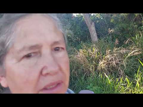 Olha lugar do pé 👣👣 vermelha aqui no Arapuá Paraná 