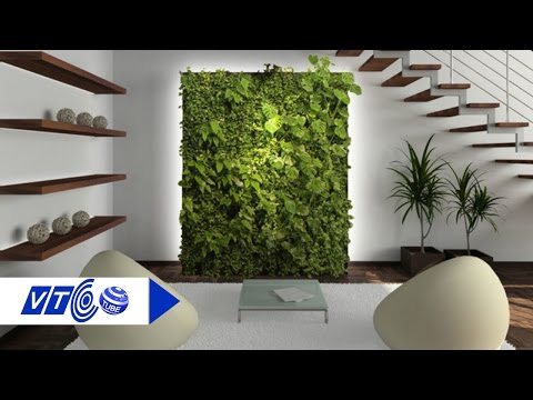 Vườn treo thông minh cho văn phòng xanh | VTC