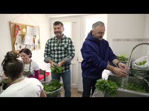 KOPRIVA verovatno NAJLEKOVITIJA biljka