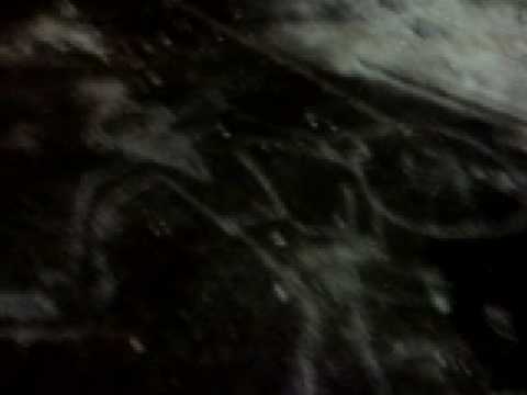 r.i.s (incidente borgata lesna)