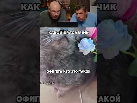 Что за красивый красавчик