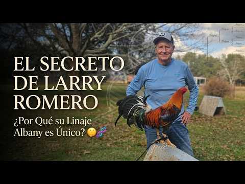 Larry Romero's Secret: Why Is His Albany Lineage Unique? 🤫🧬