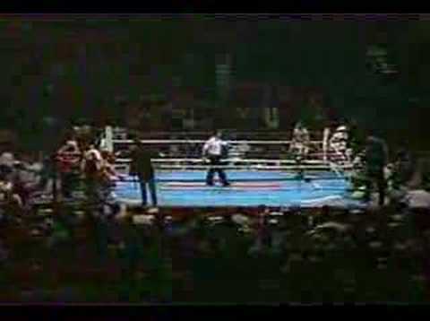 Roy Jones Jr. vs Vinny Pazienza (06-24-1995) (3/4)