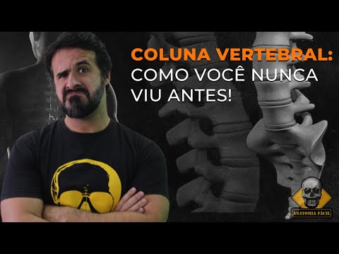 A NEW WAY TO LEARN ABOUT THE SPINE!