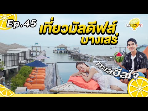 คลิกเพื่อดูคลิปวิดีโอ