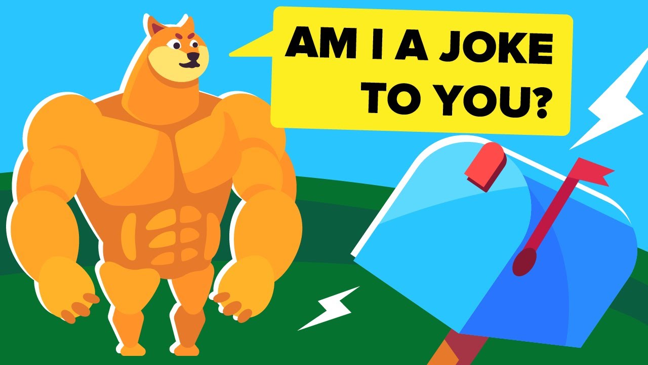 Why Your Dog Does This - Explained