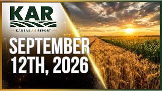 Are Crop Yields About to Drop? + What It Could Mean for Markets | September 12, 2026