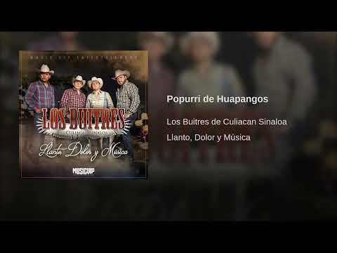 Los Buitres de Culiacan Sinaloa— La Loba del Mar