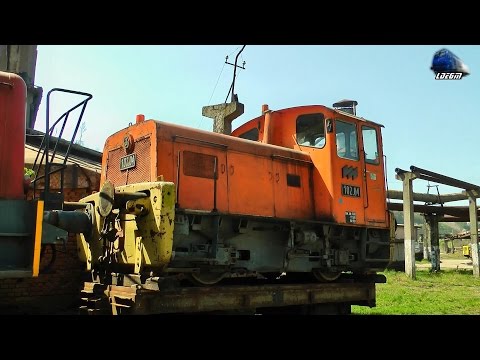 Vizita in Depoul CFI Criscior - A Visit in Criscior CFI Depot [Spring Edition] - 17 April 2015