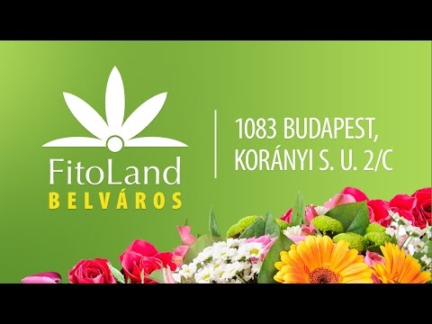 , title : 'Fitoland Kertészet, Belváros'