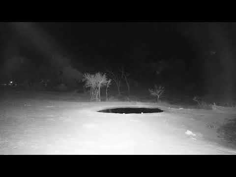 Djuma: Sights and sounds with Lion and Hyena near by-Pt:1 - 20:45 - 10/20/19