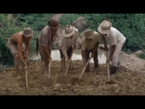 Cantos de Trabalho - Chã Preta 1972