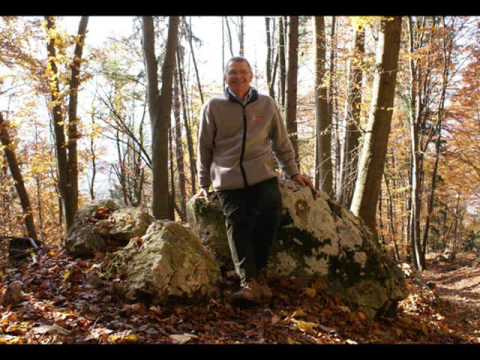 Bom šel zvečer na vas