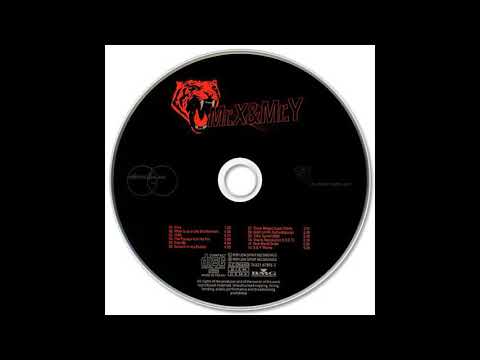 Mr. X & Mr. Y - Time Tunnel 2000 [1999]