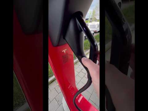 Tesla - Leben am Limit?