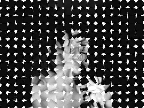 Vox Anima (Robson, Novy), Pinecha - Czekam nie od dziś