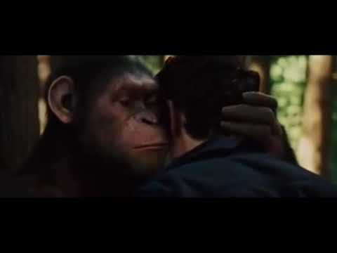 bem te vi cesar esta em casa