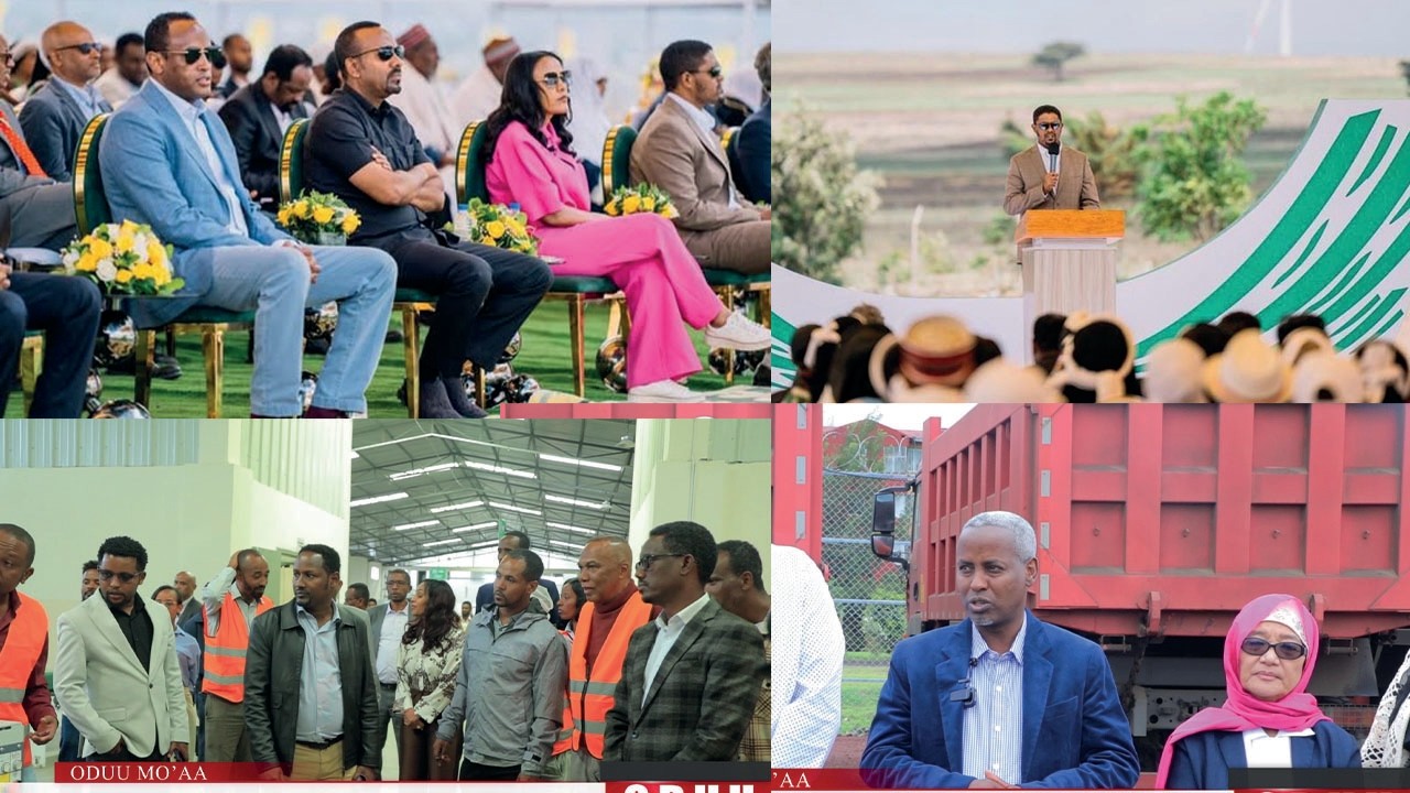 Mo'aa:  Oduu Kamisa Galgalaa (Ebla 16. 2026) Finfinnee