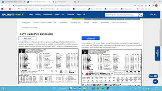 How to create your very own horse racing algorithm. Completely free and easy !