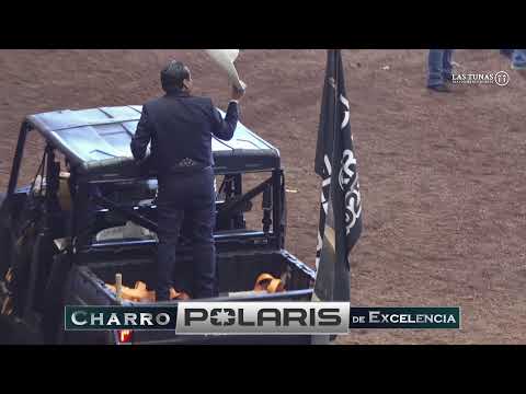 EN VIVO: Final del Caladero Futurity y Coleadero de Criadores de Excelencia Charra 2025